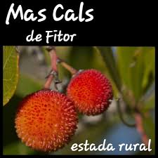 MAS CALS DE FITOR  PLUS 001